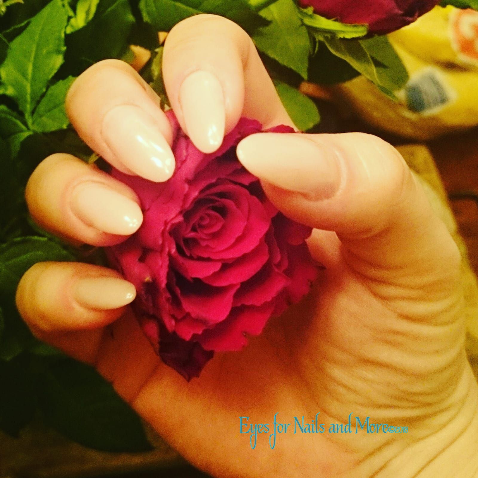 nails met roos